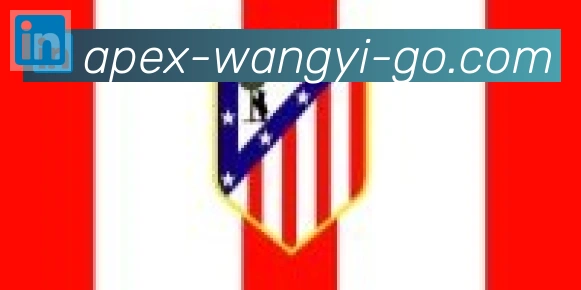网易体育合作伙伴